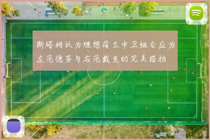 斯塔姆认为理想荷兰中卫组合应为左范德芬与右范戴克的完美搭档