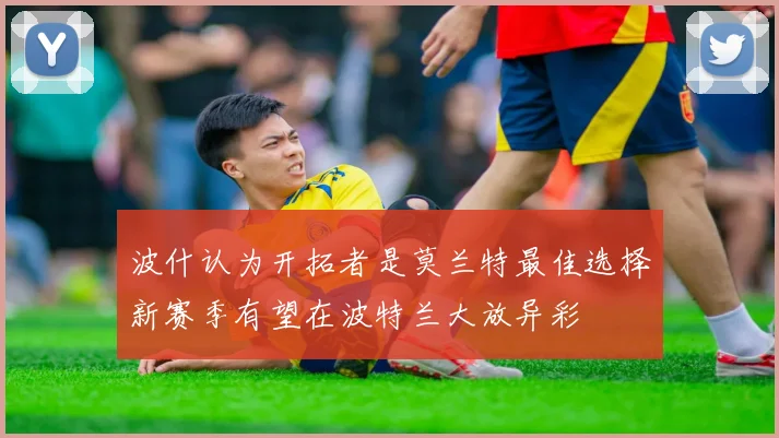 波什认为开拓者是莫兰特最佳选择新赛季有望在波特兰大放异彩